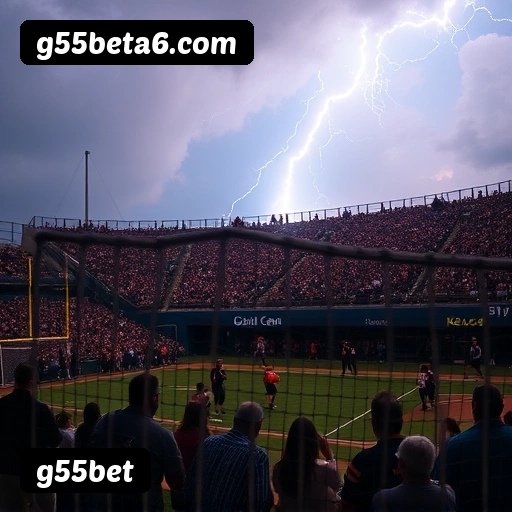 Recursos Exclusivos do App g55bet - Modo Offline, Login Biométrico